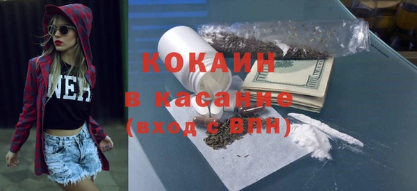 сатива Абаза